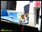 0028 Mercantour 10_11_12juin